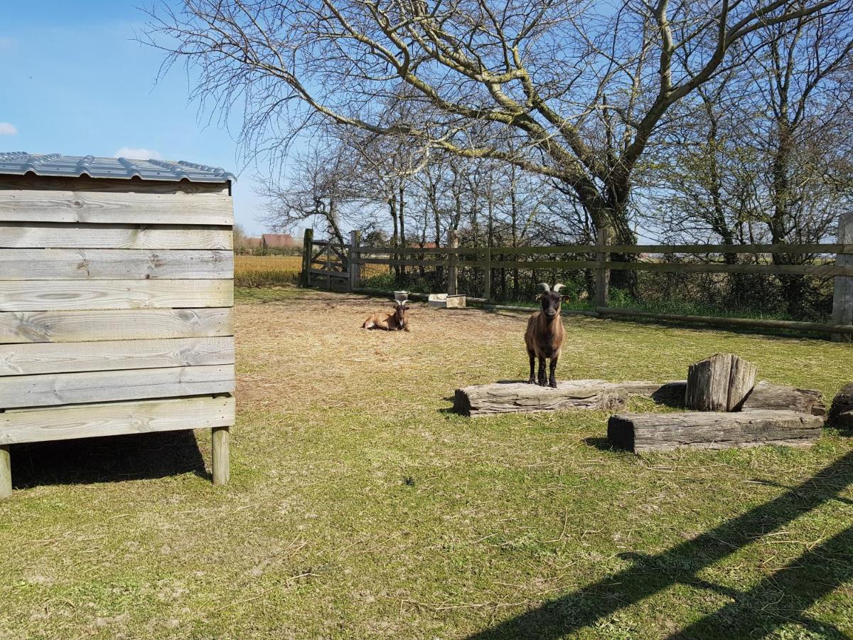 Au Soleil Vert - Chambre de charme avec spa et sauna privés Zeggers-Cappel Esterno foto